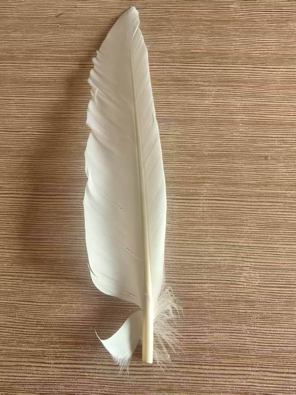 羽毛球又又又涨价<strong></p>
<p>邮宝币</strong>，球友破防：月花三千扛不住，打球人的天塌了