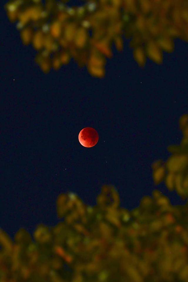 刷屏朋友圈<strong></p>
<p>上币费用</strong>！“红月亮”高清大图来了