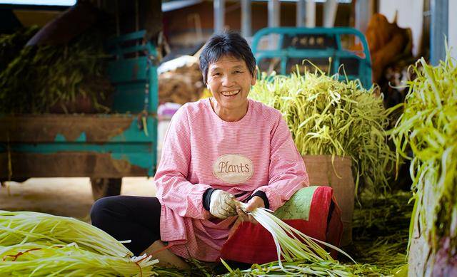 弥勒“新哨经验”<strong></p>
<p>上币费用</strong>，全州推广！