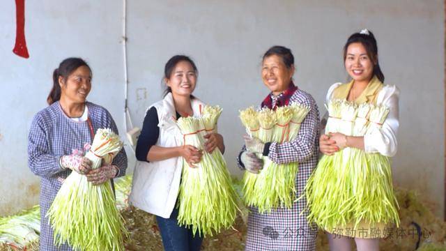 弥勒“新哨经验”<strong></p>
<p>上币费用</strong>，全州推广！