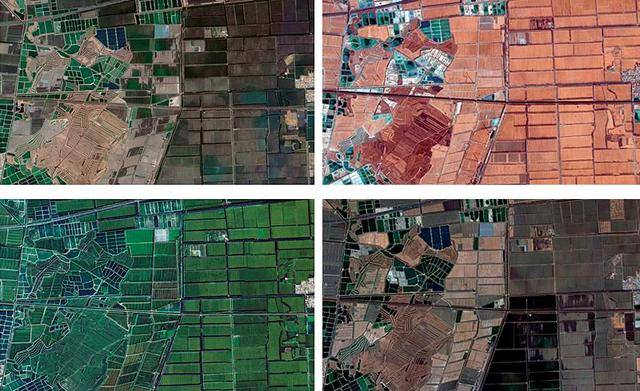 应付卫星执法<strong></p>
<p>上币费用</strong>，给屋顶盖绿布模仿农田