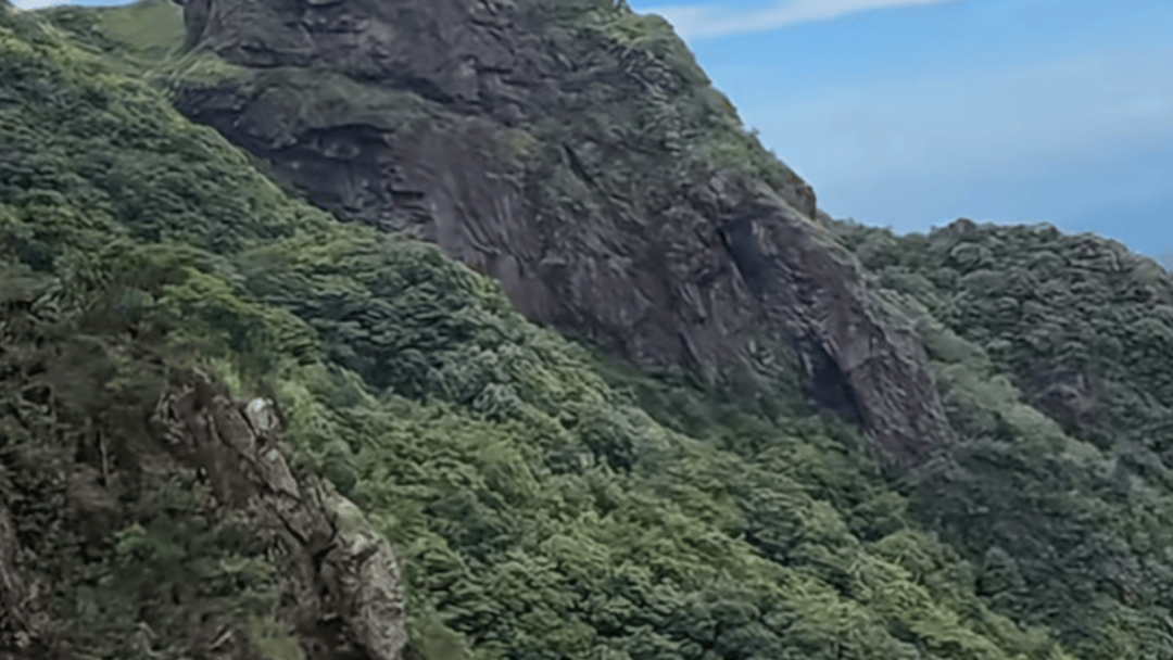 失联5天<strong></p>
<p>巧币</strong>，遗体被找到！深圳警方初步排除刑事案件