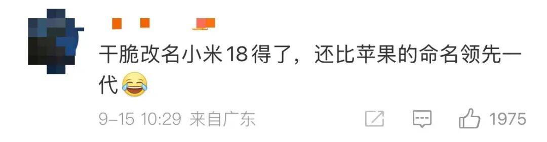 雷军：全面对标iPhone<strong></p>
<p>巧币</strong>，正面迎战！小米宣布跳过16系列，直接发布17