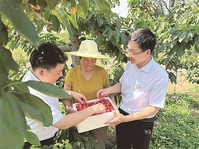 山西：金融力量助推乡村振兴“加速跑”