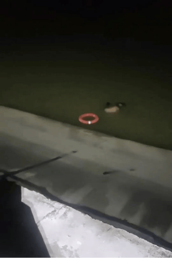 东莞一女子凌晨沉入漆黑水库<strong></p>
<p>先知</strong>，民警第二跳让人揪心……