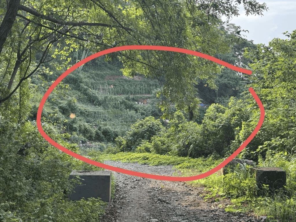 杭州女子误踩“化骨水”身亡<strong></p>
<p>酷币网</strong>，当地：已锁定化学品所有者，发现三桶，一桶完整，两桶残余