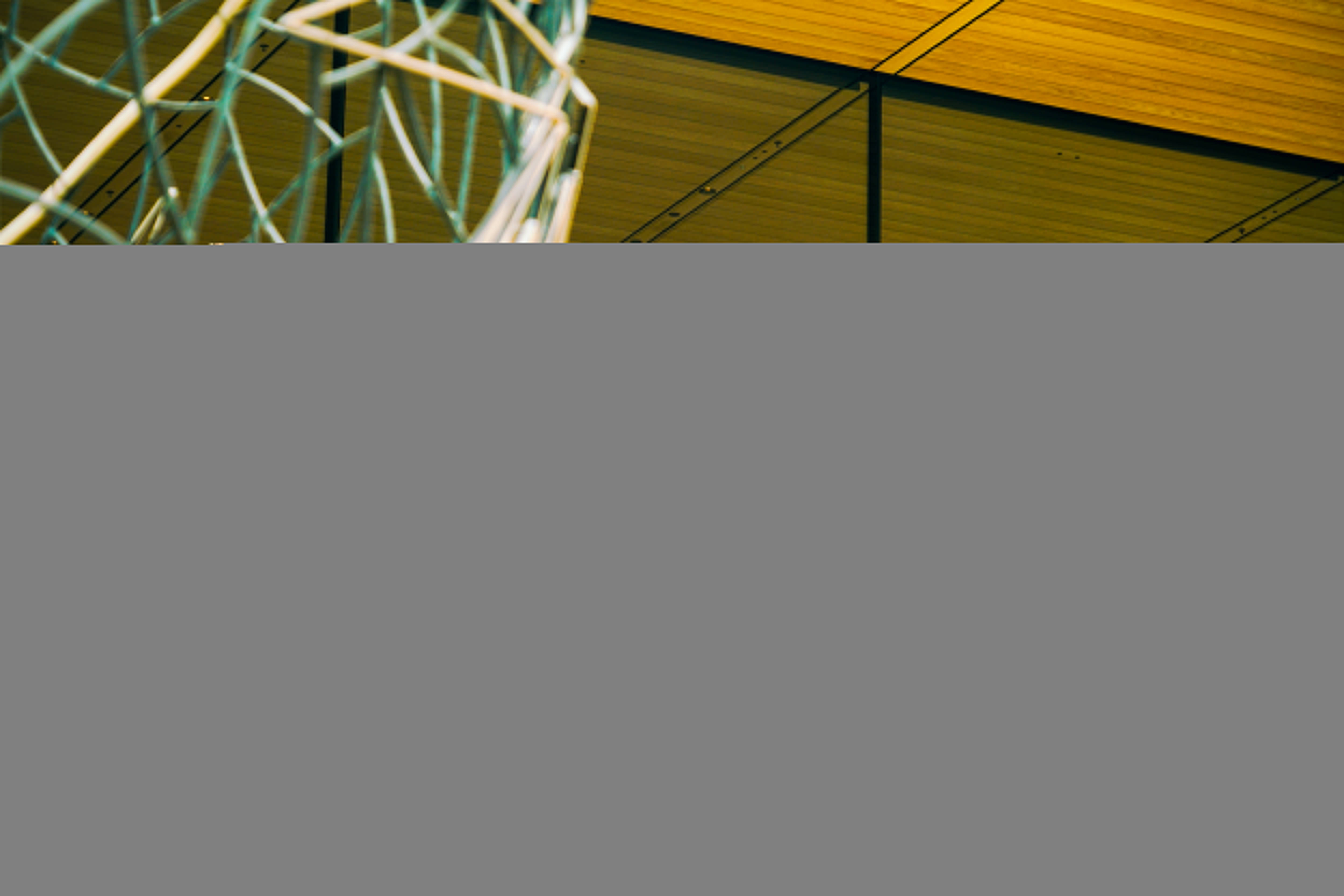 iPhone 17正式开售<strong></p>
<p>瑞特币</strong>，橙色Pro Max黄牛最高加价1500元