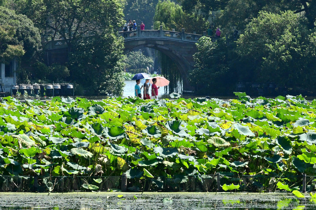 “三台共舞”对浙江有何影响？周末又有冷空气<strong></p>
<p>瑞特币</strong>，气温舒适