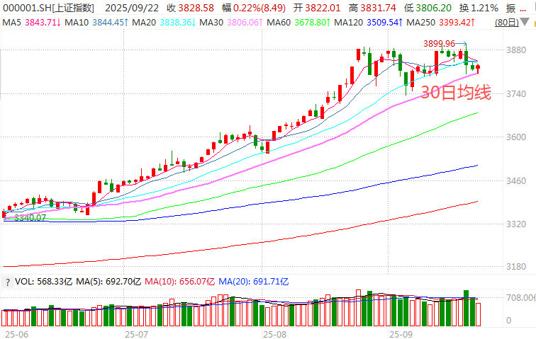 在牛市中被毒打<strong></p>
<p>鹿币</strong>，银行走出了“股灾”行情...