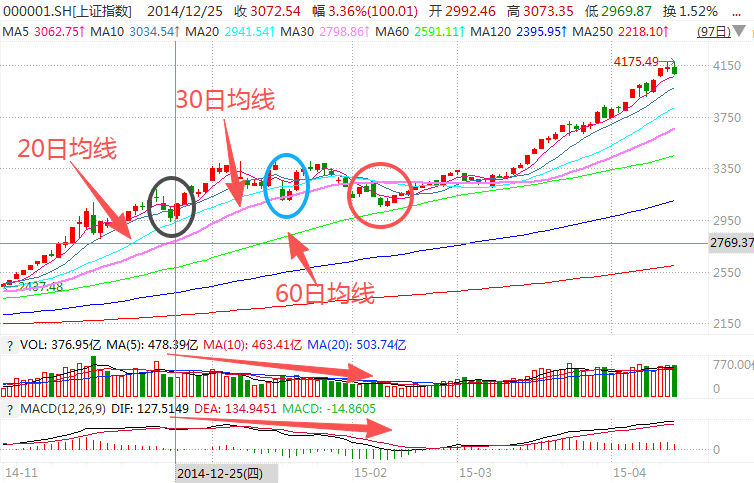 在牛市中被毒打<strong></p>
<p>鹿币</strong>，银行走出了“股灾”行情...