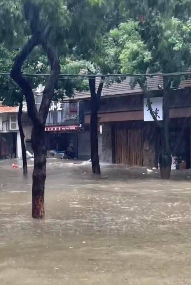珠海一司机台风天驾车造浪冲碎店铺玻璃 警方：已传唤司机