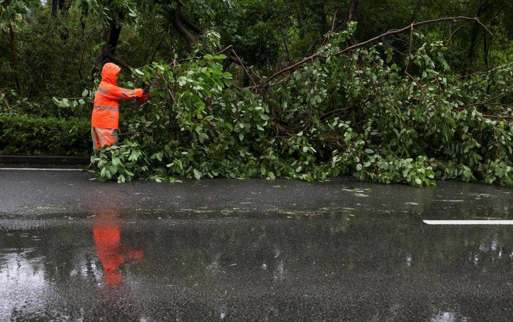 谁给“风王”踩了“刹车”<strong></p>
<p>币特儿</strong>，打了“转向”，又是咋知道的?