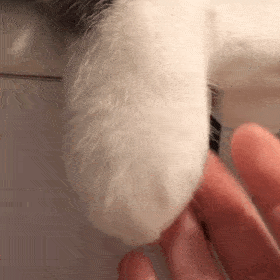 1227个城镇老旧小区<strong></p>
<p>币特儿</strong>，全部开工！