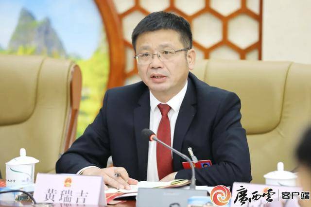 黄瑞吉<strong></p>
<p>币特儿</strong>，严重损害党的形象、都安的形象