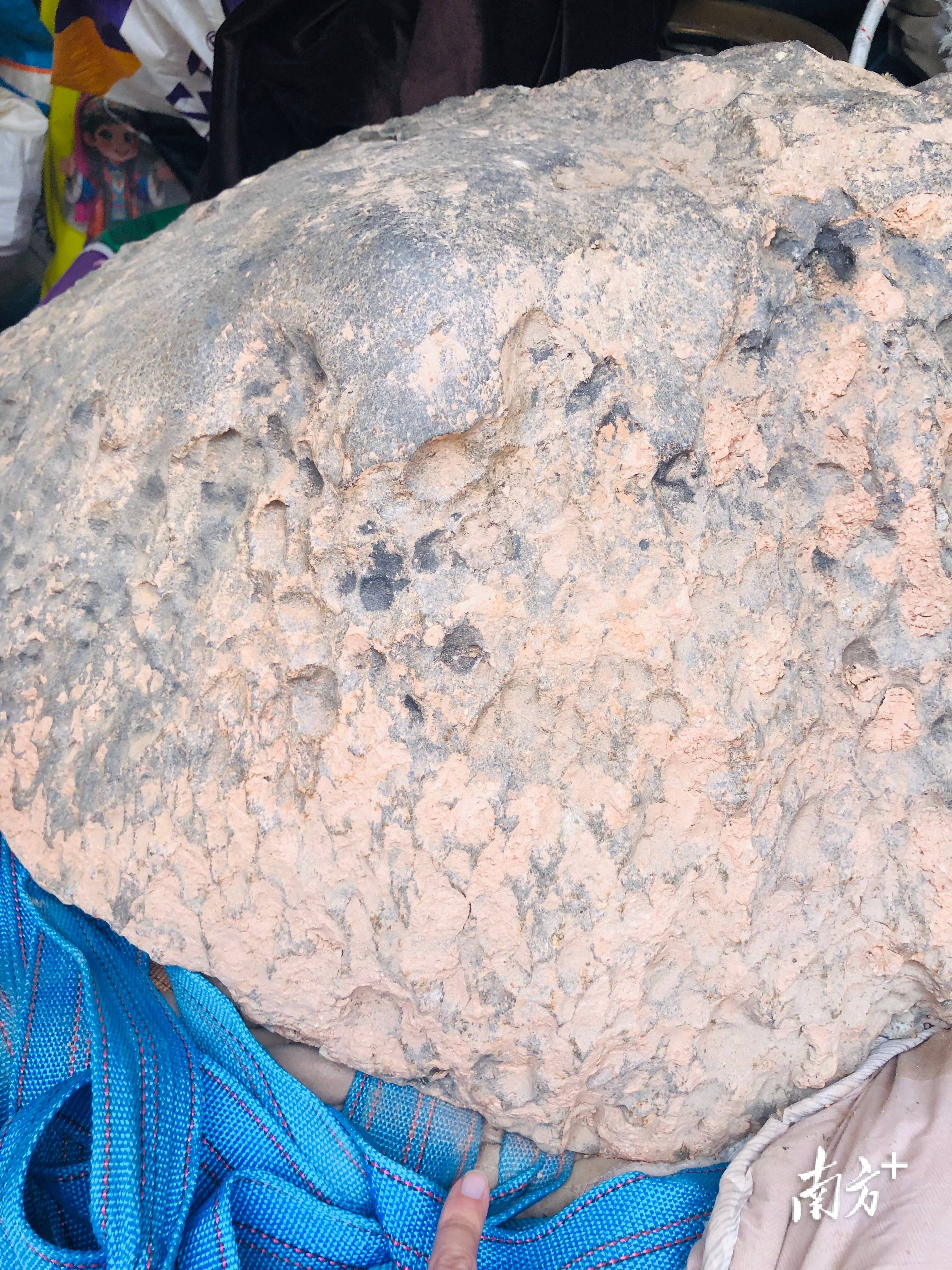 423公斤陨石在茂名电白挖出<strong></p>
<p>币特儿</strong>,系国内目击降落第二大单体陨石