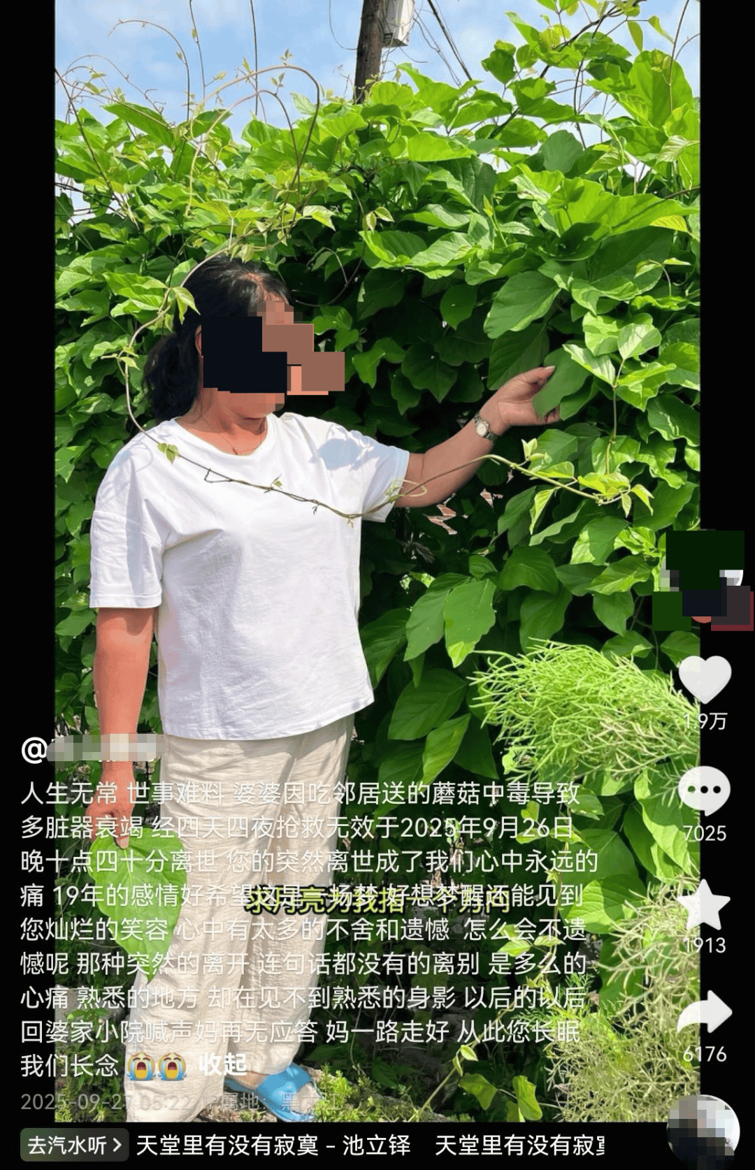 网红发文悼念婆婆：吃了邻居送的蘑菇中毒<strong></p>
<p>泰大币</strong>，抢救四天四夜死亡！这些蘑菇避毒原则可能是陷阱→