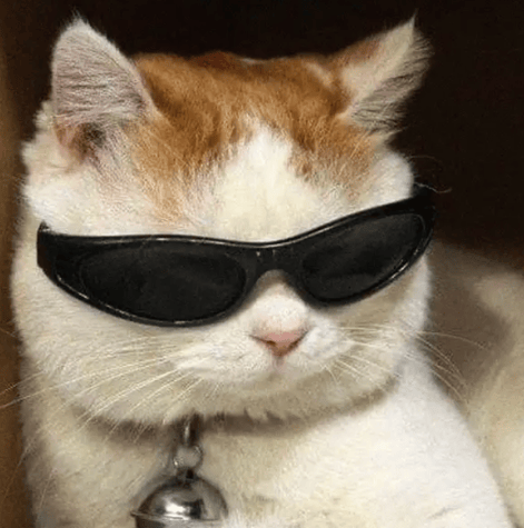 “不亚于春节回家”！凌晨5点<strong></p>
<p>合约交易数据</strong>，深圳有人已经堵在路上……