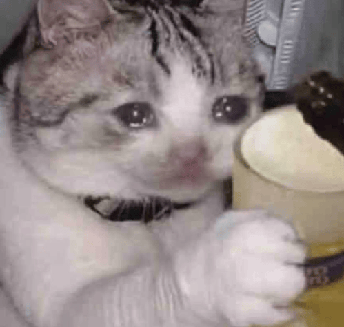 “不亚于春节回家”！凌晨5点<strong></p>
<p>合约交易数据</strong>，深圳有人已经堵在路上……