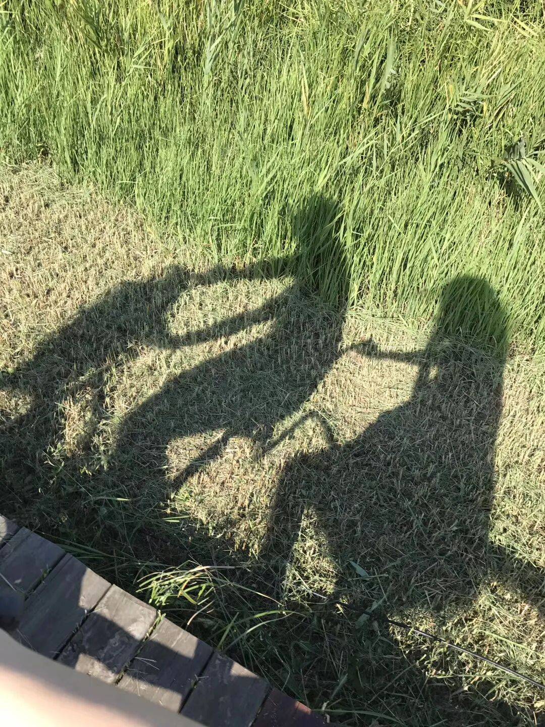 纸质火车票退场<strong></p>
<p>合约交易数据</strong>，每道折痕里都藏着远方、爱情与山河记忆