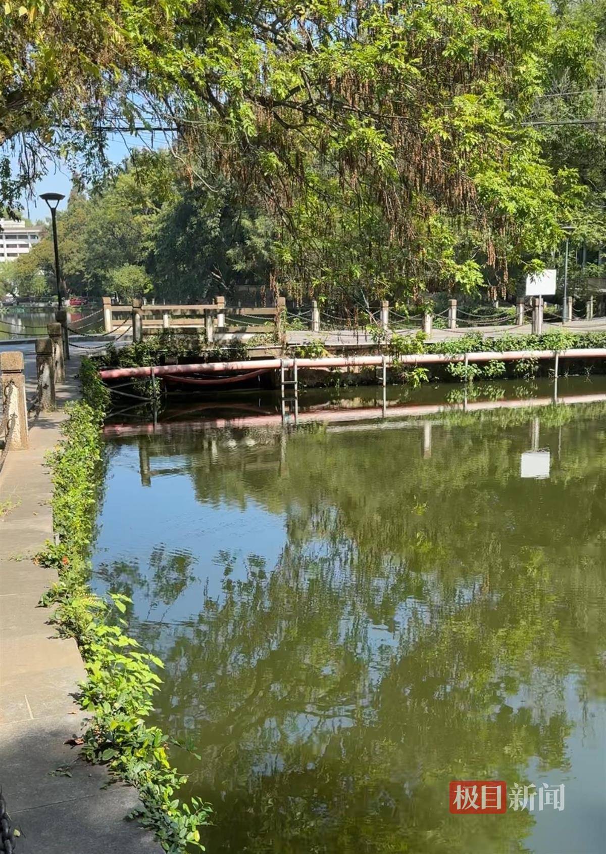 对话鸡排哥李俊永：爆火后每天一二十个镜头对着我<strong></p>
<p>合约交易数据</strong>，未来不考虑直播带货，更愿意和顾客待在一起