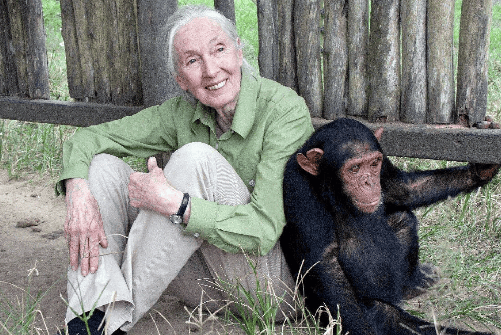 91岁传奇女科学家去世：没学士学位的剑桥博士<strong></p>
<p>币商城</strong>，科学发现颠覆人类认知，每年300天全球演讲