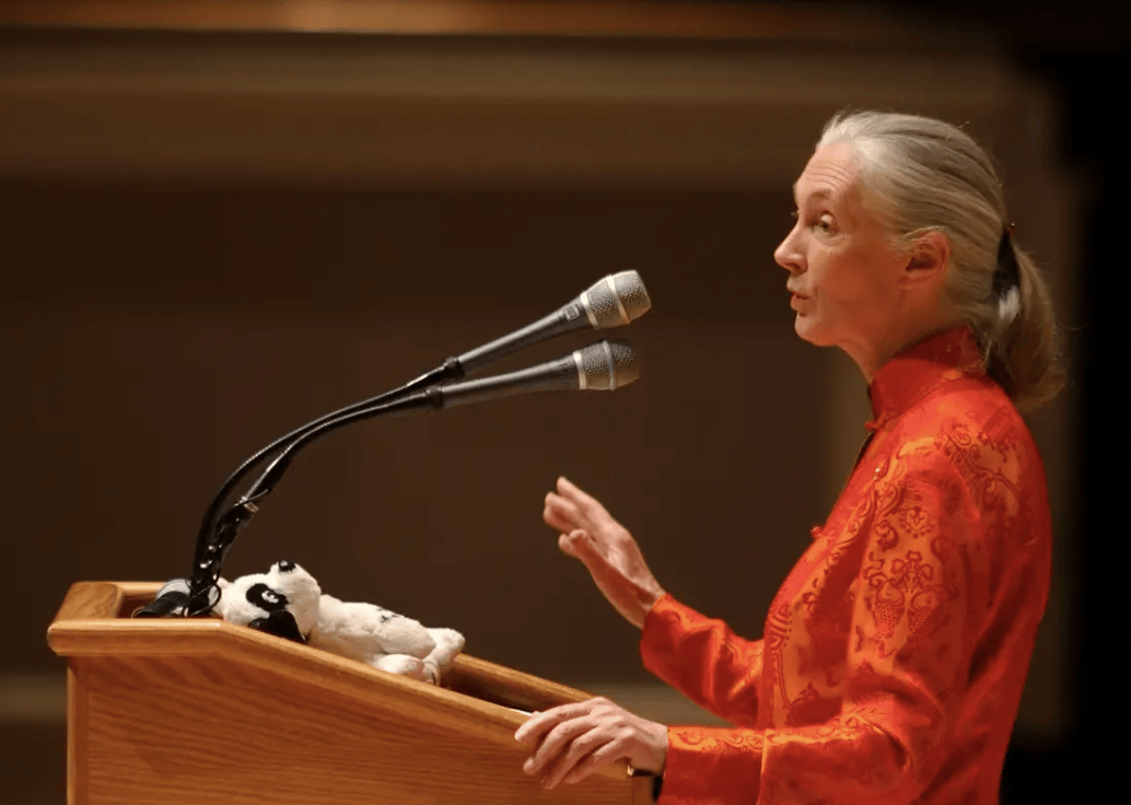 91岁传奇女科学家去世：没学士学位的剑桥博士<strong></p>
<p>币商城</strong>，科学发现颠覆人类认知，每年300天全球演讲