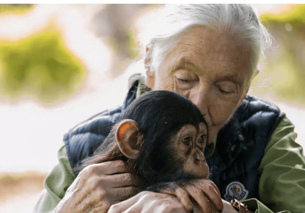 91岁传奇女科学家去世：没学士学位的剑桥博士<strong></p>
<p>币商城</strong>，科学发现颠覆人类认知，每年300天全球演讲