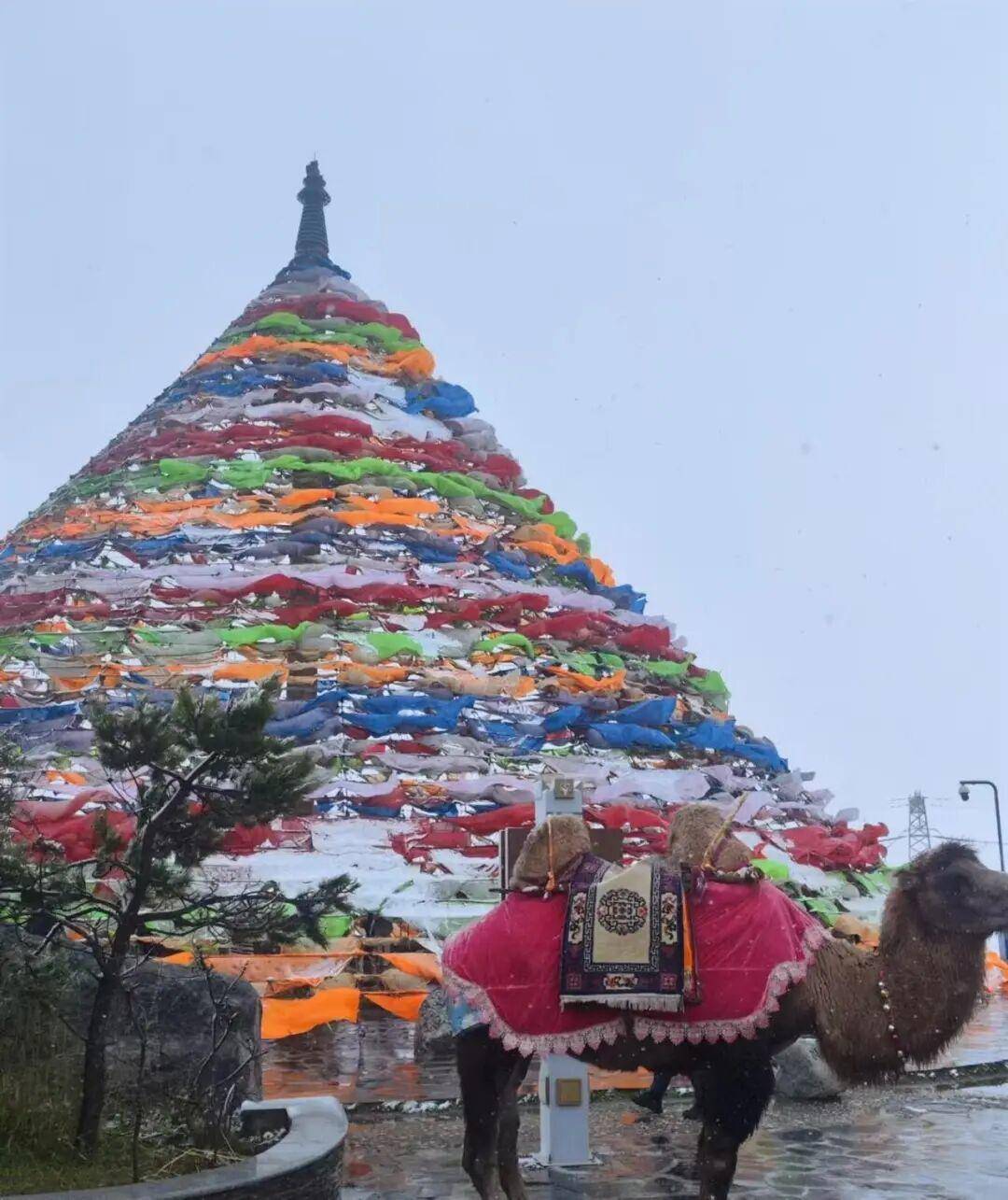 多地突降大雪<strong></p>
<p>币商城</strong>！