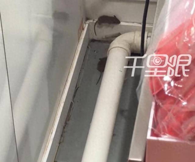 网曝蜜雪冰城一门店有多只老鼠横行<strong></p>
<p>币商城</strong>，涉事门店员工回应
