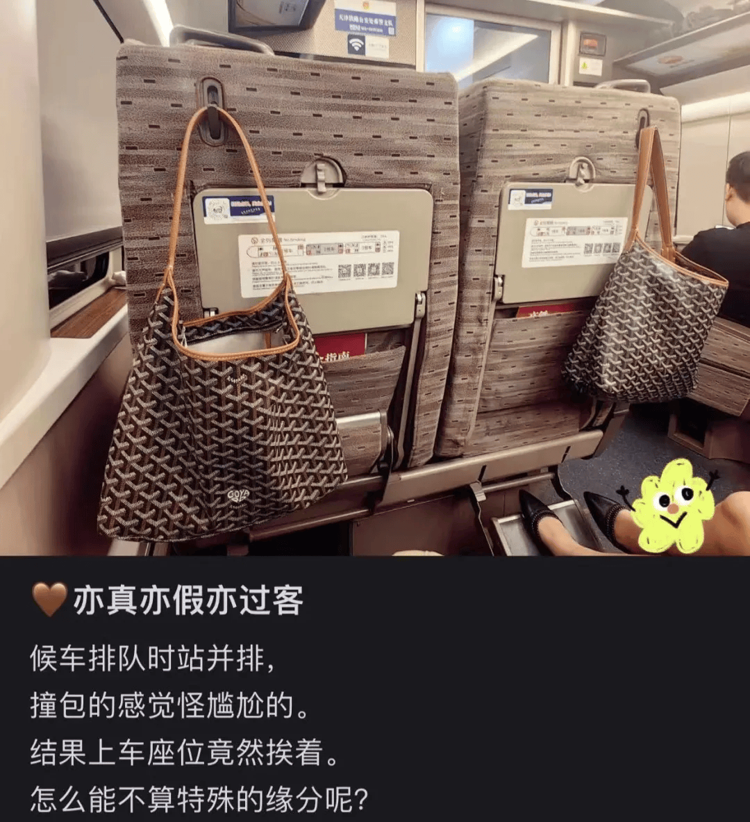 “女高管专用包”<strong></p>
<p>法币</strong>，为什么是它？