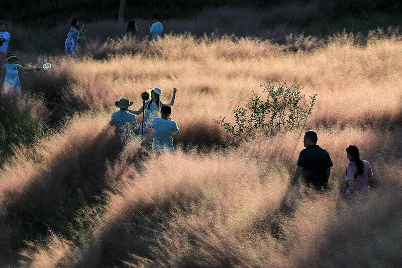 打卡拍照<strong></p>
<p>墨子币</strong>，再美也不能用生命对焦