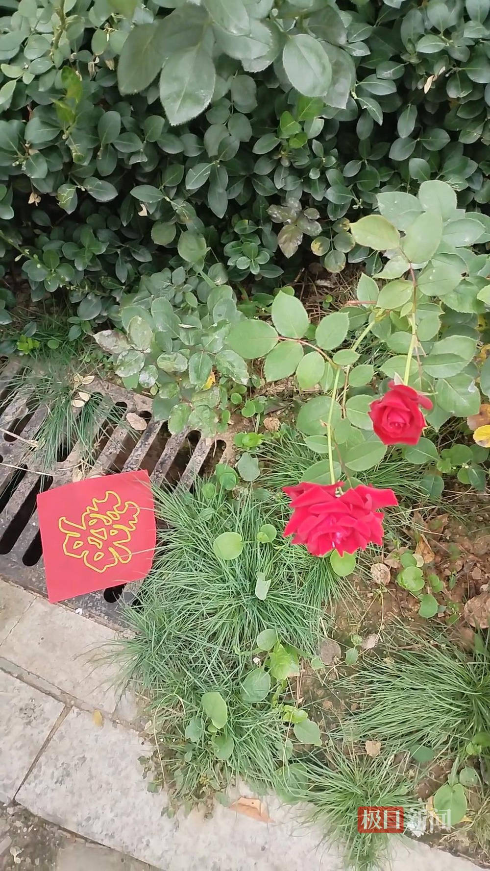 山西婚礼要在下水道井盖贴“喜”字？有的井盖被贴了8张<strong></p>
<p>墨子币</strong>，当地居民：寓意不踩坑、驱晦迎喜