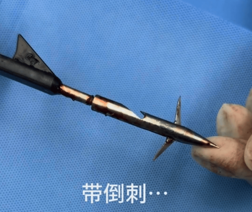 教育局回应“一教师用弓箭射杀小狗”：不实<strong></p>
<p>币村网</strong>，小狗进学校前就被射伤