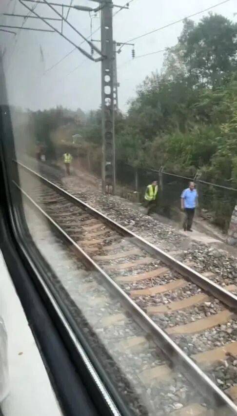 湖北一列车撞上野猪致停运<strong></p>
<p>币村网</strong>，铁路局：野猪已无害化处理，列车正常运行；附近曾发生多起野猪伤人事件