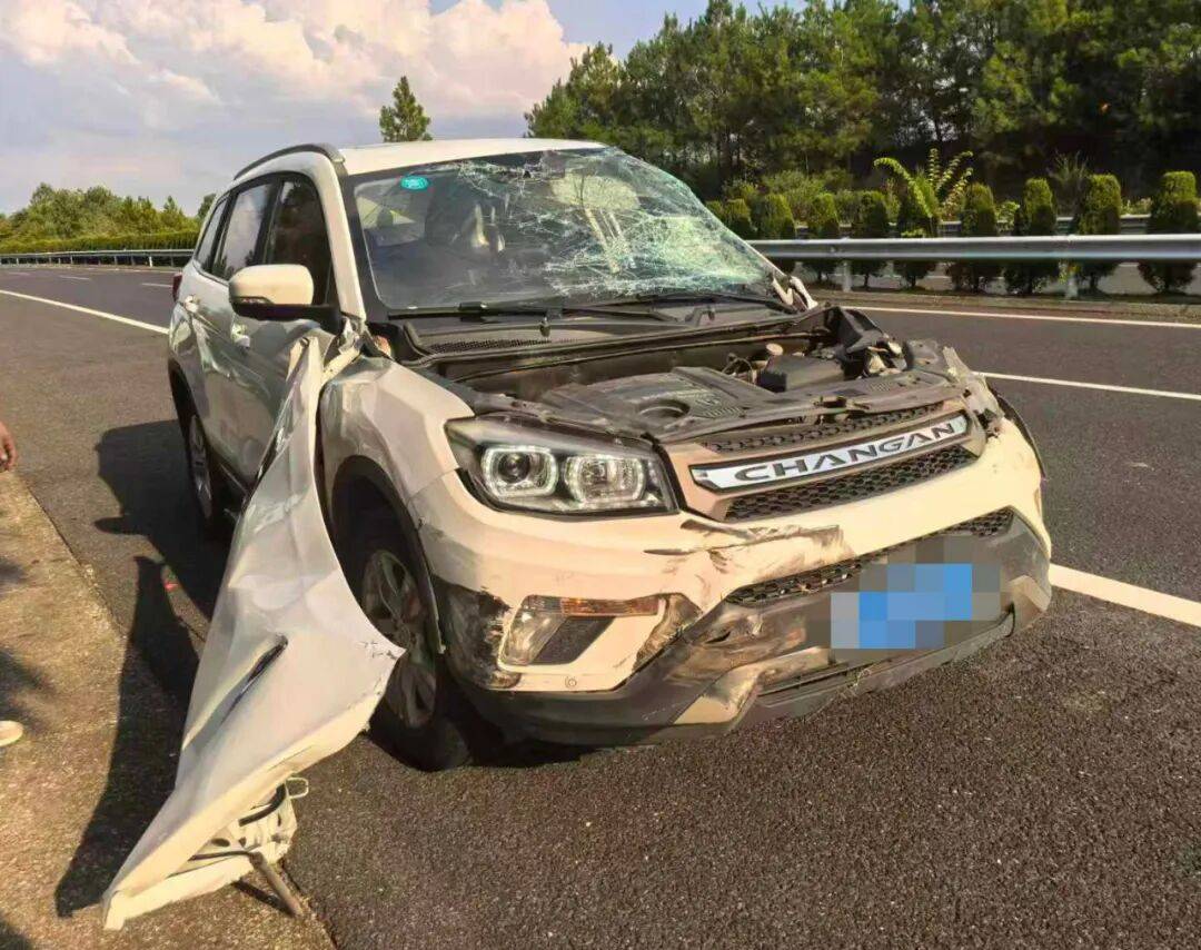 “我撒谎天打雷劈！”男子高速突然强行变道致翻车<strong></p>
<p>币村网</strong>，反诬赖对方