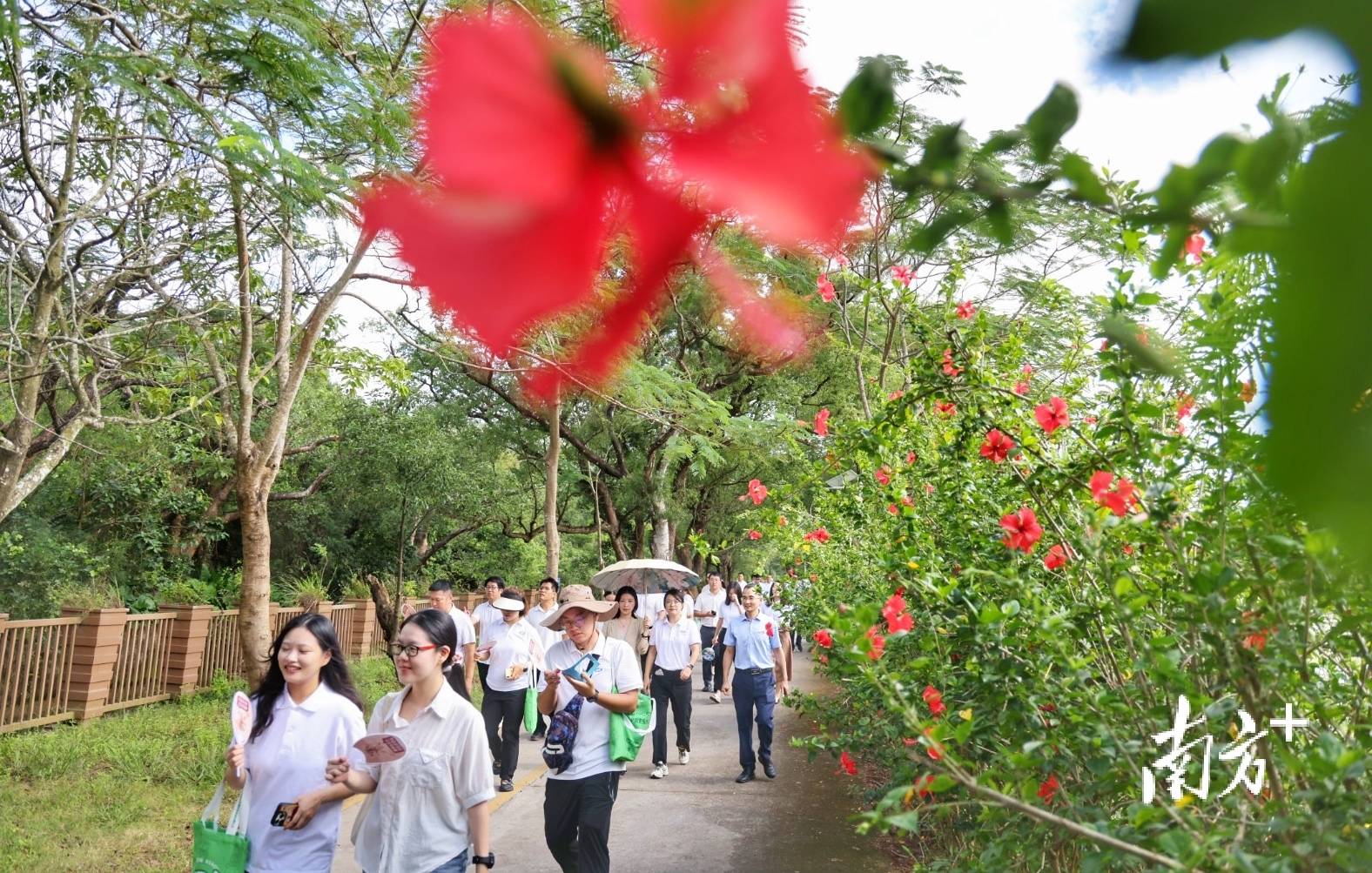 中山城建集团“连心桥”移交<strong></p>
<p>币舫</strong>，村企共建绘就桂南新画卷