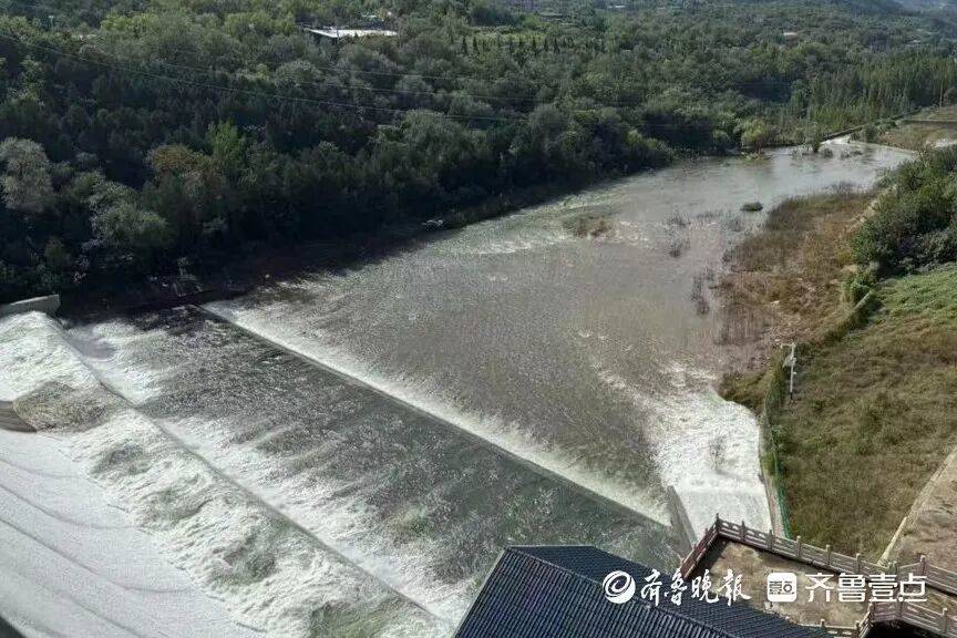 “鱼多得数不过来<strong></p>
<p>BCH</strong>，一网子下去能捞好几条”济南锦绣川水库开闸放水，大量鲢鱼被冲出，工作人员：禁止捕捞！