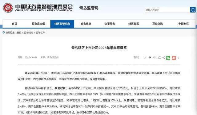 3323亿营收、1065亿海外收入<strong></p>
<p>BCH</strong>！青岛上市公司的进击之路