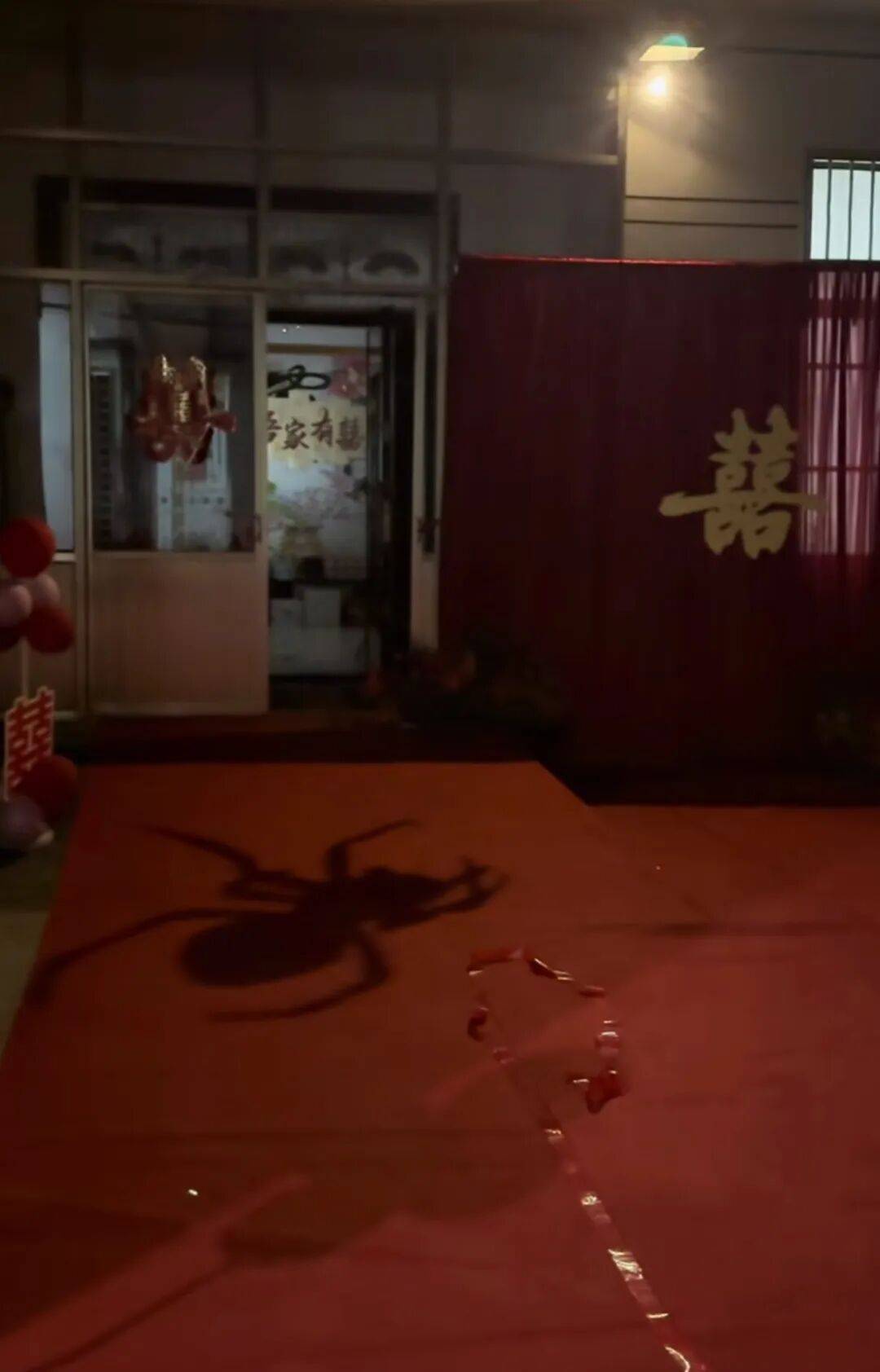 山东一新娘家凌晨出现巨大蜘蛛的倒影<strong></p>
<p>九币</strong>，拍摄者：蜘蛛爬在灯泡上，网友：这才是喜结连理