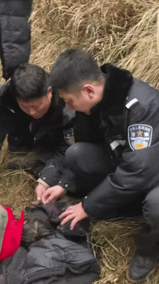 辽宁4岁女童称睡醒后自行下车<strong></p>
<p>法币100</strong>，迷路后睡在草地，期间无人接触；其母发声