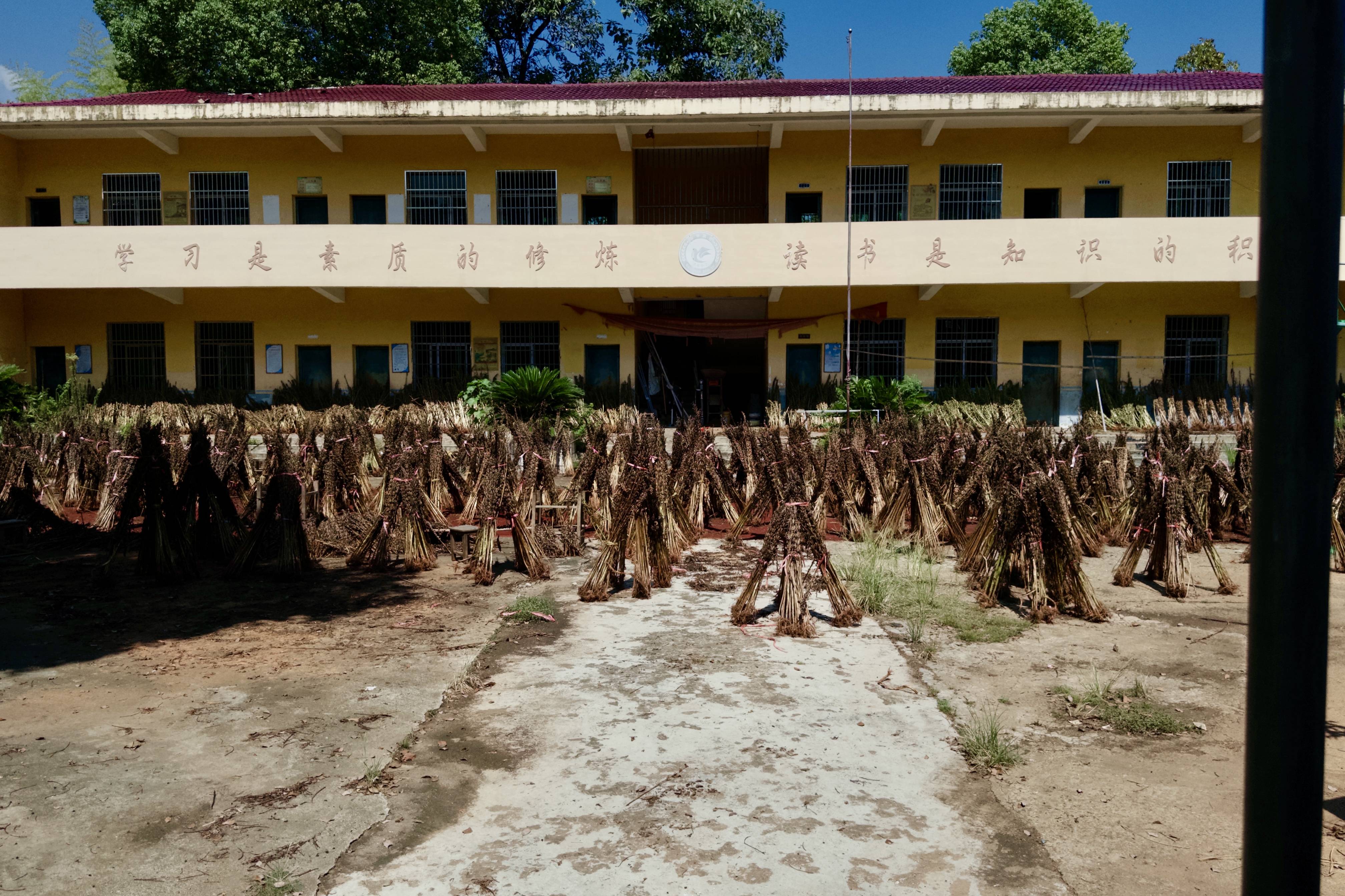 在县城当老师<strong></p>
<p>法币100</strong>，没那么吃香了