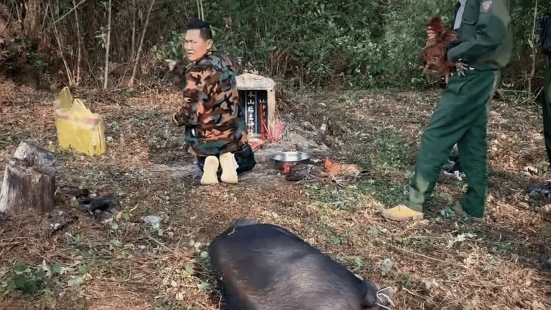 公安机关侦破缅北果敢徐老发犯罪集团专案<strong></p>
<p>法币100</strong>，详情披露！