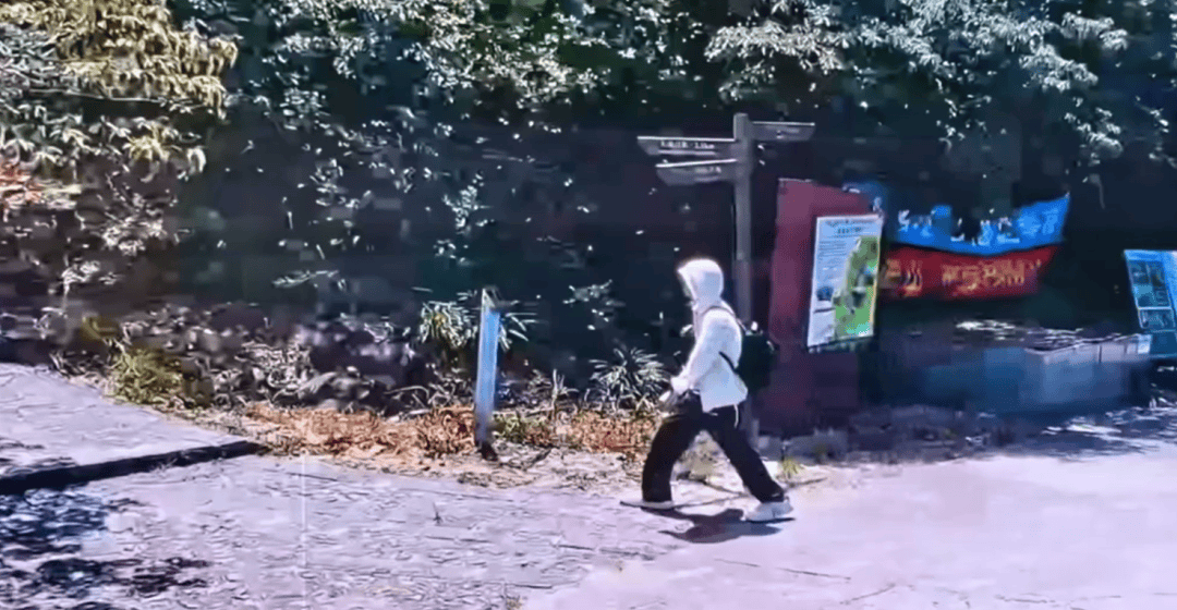 深圳登山失联约70天<strong></p>
<p>和平币</strong>，27岁男子遗体疑被找到已遇难，其位于一块大石头下，家属回应