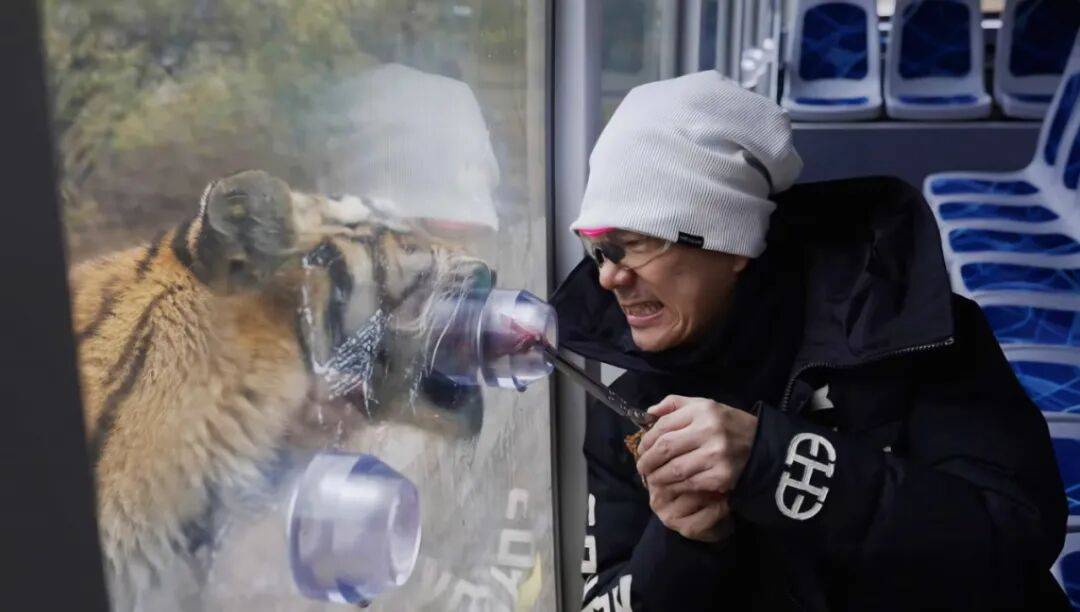 任贤齐打卡的哈尔滨<strong></p>
<p>和平币</strong>，到底有多好玩？