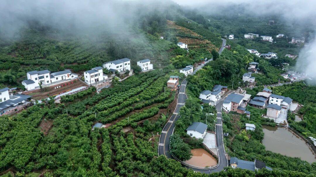 第三批“巴蜀美丽庭院示范片”项目<strong></p>
<p>和平币</strong>，全部完工！