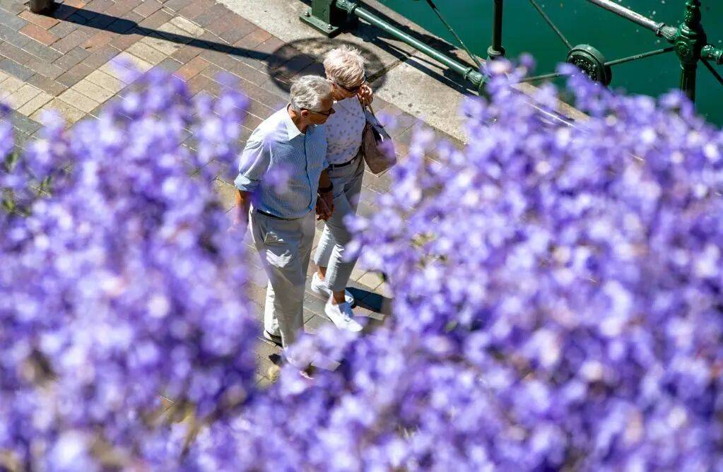 别说自己老了<strong></p>
<p>和平币</strong>，大脑功能或60岁时达巅峰