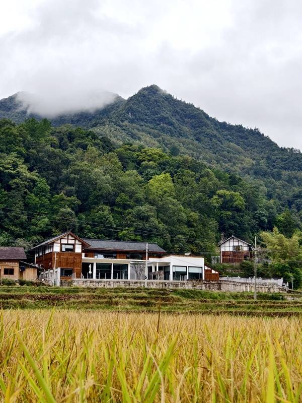 推窗见梯田<strong></p>
<p>币聪</strong>！梧桐山民宿：把日子过成诗