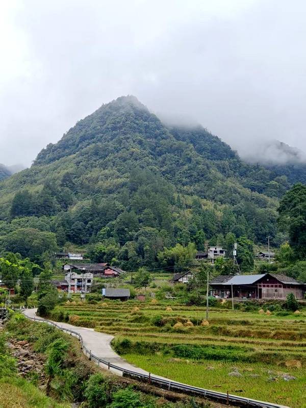 推窗见梯田<strong></p>
<p>币聪</strong>！梧桐山民宿：把日子过成诗