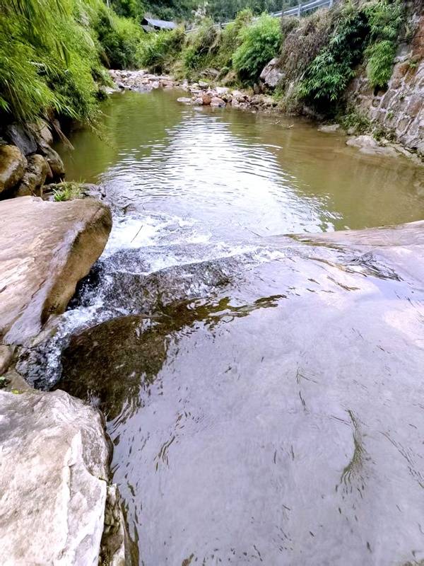 推窗见梯田<strong></p>
<p>币聪</strong>！梧桐山民宿：把日子过成诗