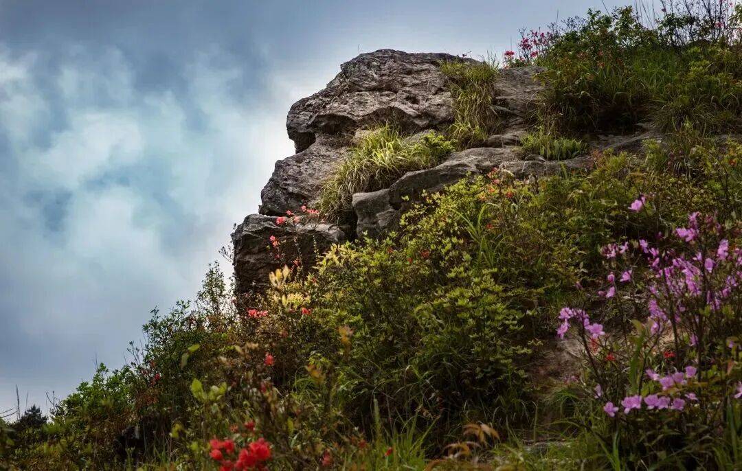 为什么年轻人迷上了爬山? | 秋高气爽<strong></p>
<p>币聪</strong>,是时候出发了→